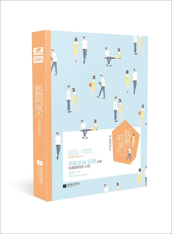 书籍《狐狸的夏天》 - 插图1