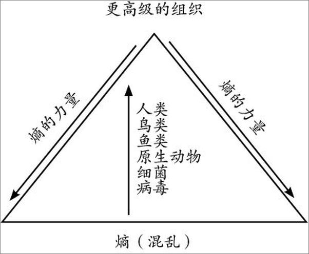 书籍《少有人走的路1-6套装——派克》 - 插图2