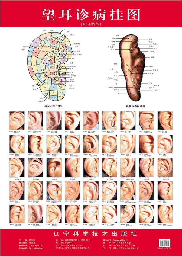 书籍《望耳诊病挂图》 - 插图1