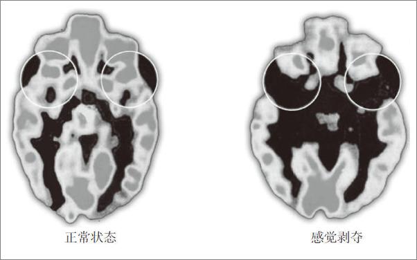 书籍《如何科学开发孩子的大脑：智商与情商发展指南》 - 插图1