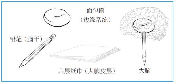 书籍《如何科学开发孩子的大脑：智商与情商发展指南》 - 插图2