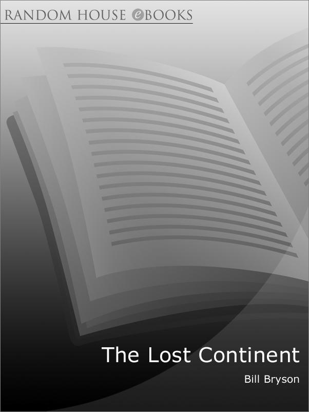 书籍《TheLostContinent》 - 插图1