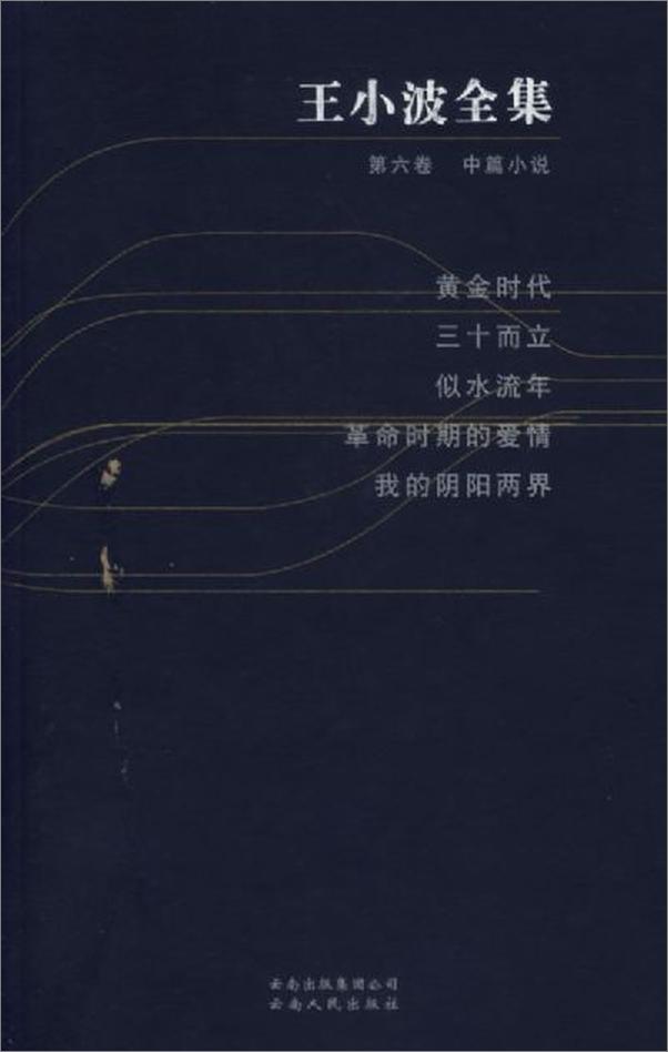 书籍《王小波全集》 - 插图1