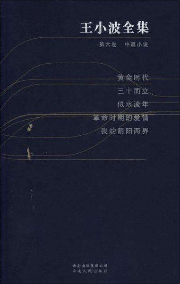 书籍《王小波全集》 - 插图2
