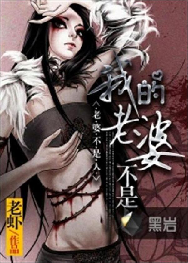 书籍《我的老婆不是人-老虾》 - 插图1