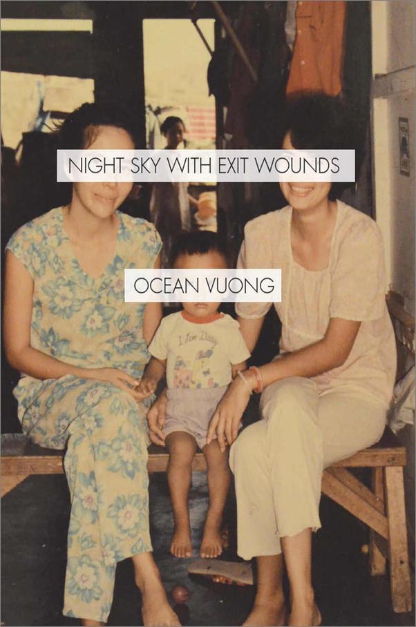 书籍《NightSkywithExitWounds》 - 插图1