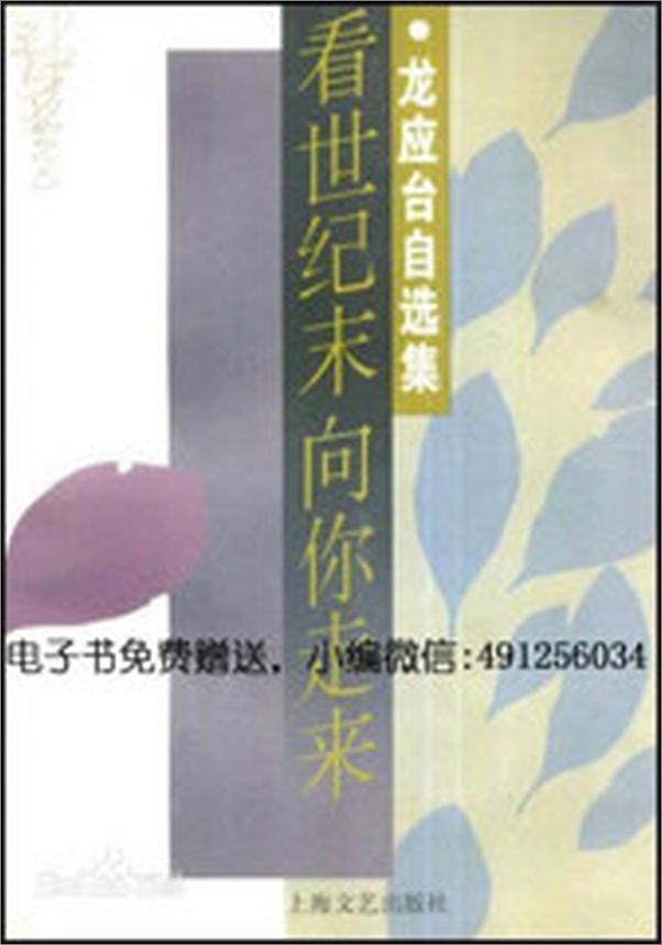 书籍《看世纪末向你走来》 - 插图2