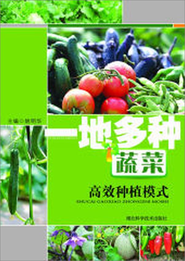 书籍《一地多种蔬菜高效种植模式》 - 插图1