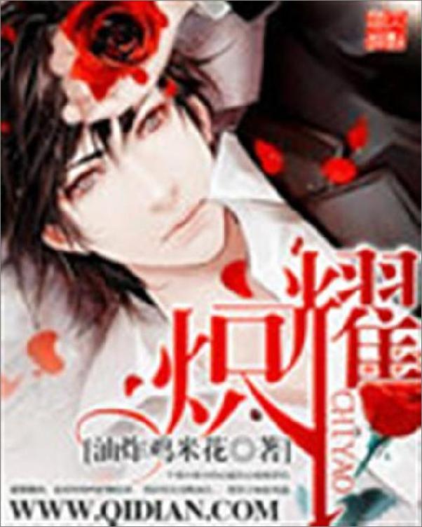 书籍《炽耀-油炸鸡米花》 - 插图1