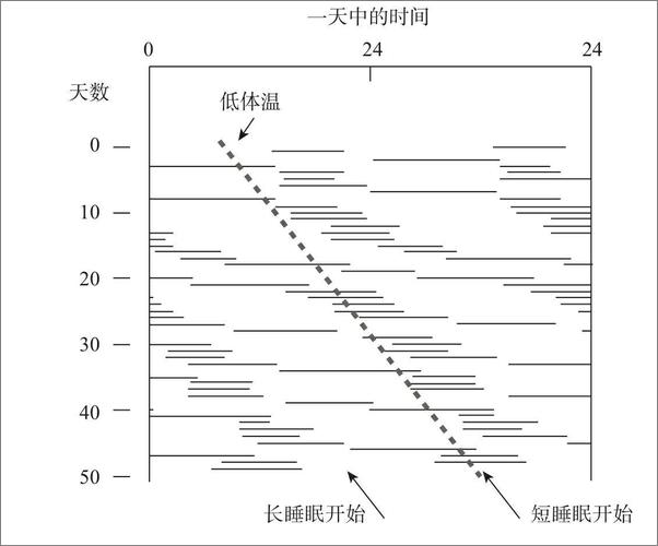 书籍《同步：秩序如何从混沌中涌现》 - 插图1
