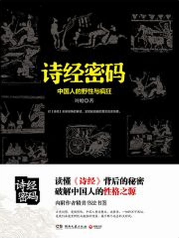 书籍《诗经密码_中国人的野性与疯狂》 - 插图2