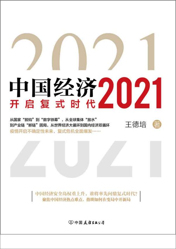 书籍《中国经济2021》 - 插图1