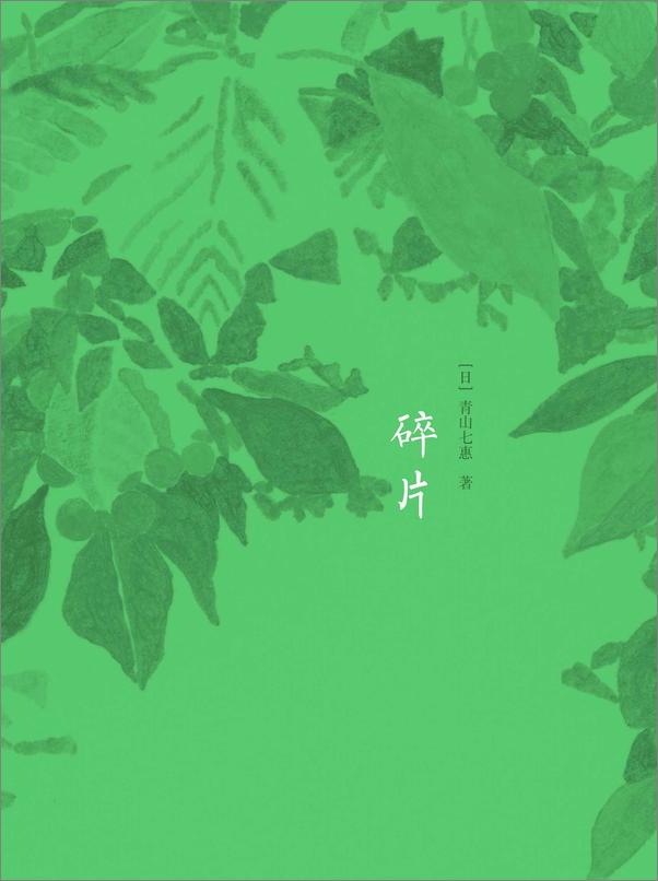 书籍《碎片》 - 插图1