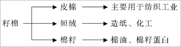 书籍《棉花》 - 插图2