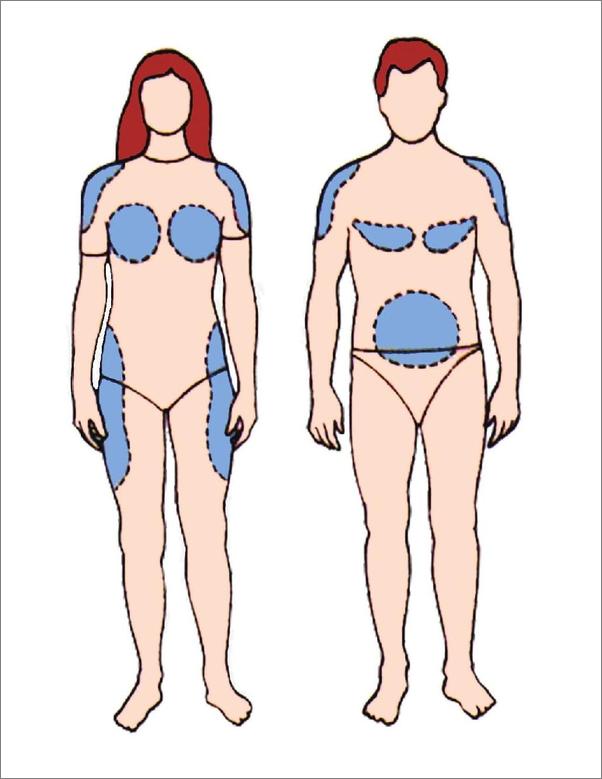 书籍《吃货的生物学修养：脂肪、糖和代谢病的科学传奇》 - 插图2