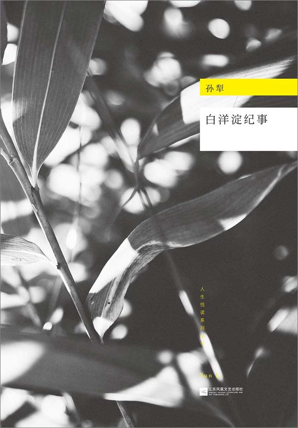 书籍《白洋淀纪事》 - 插图1