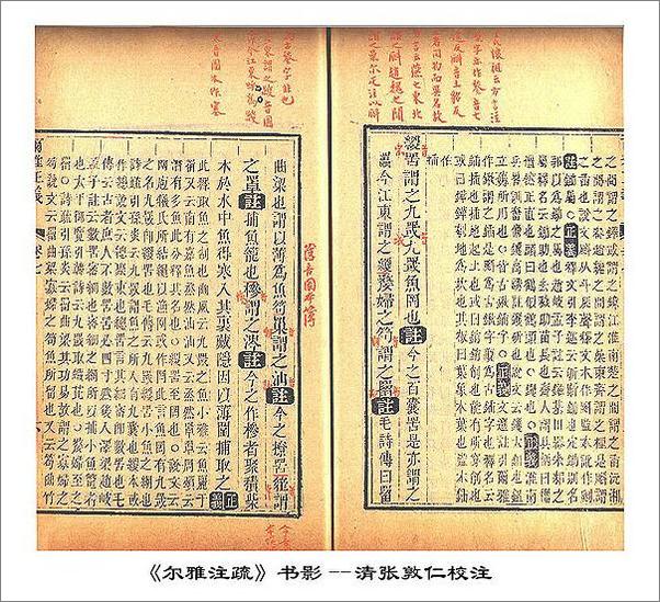 书籍《尔雅：最早的的字典，第一部百科名词词典》 - 插图2