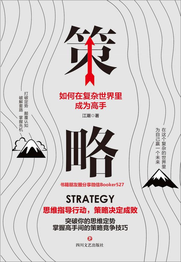 书籍《策略：如何在复杂的世界里成为高手-江潮》 - 插图1