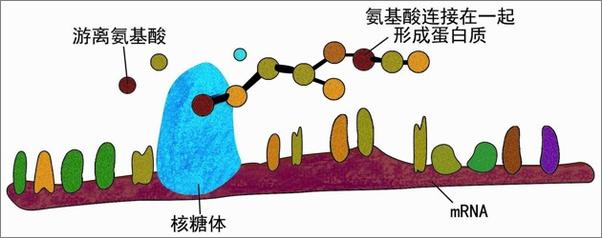 书籍《生命藏在量子中》 - 插图2