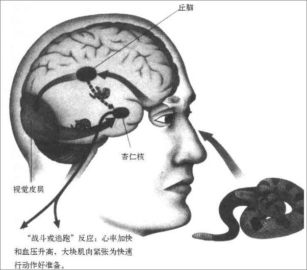 书籍《情商》 - 插图2