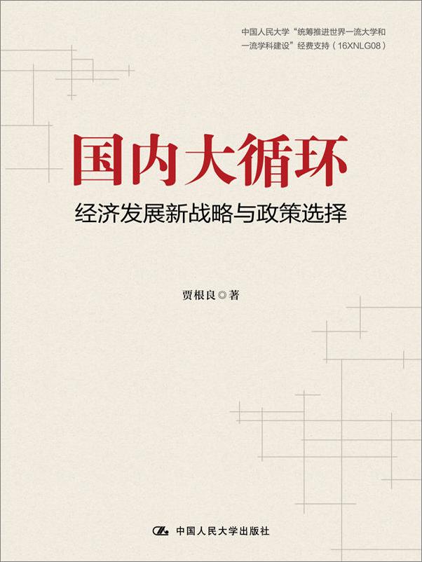 书籍《国内大循环：经济发展新战略与政策选择》 - 插图1