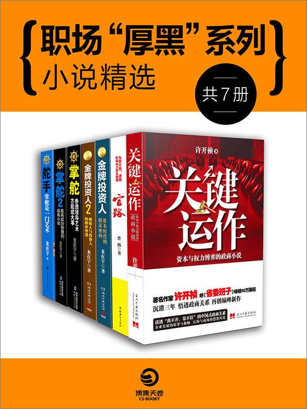 书籍《政商规则与谋略：中国官场小说系列》 - 插图1
