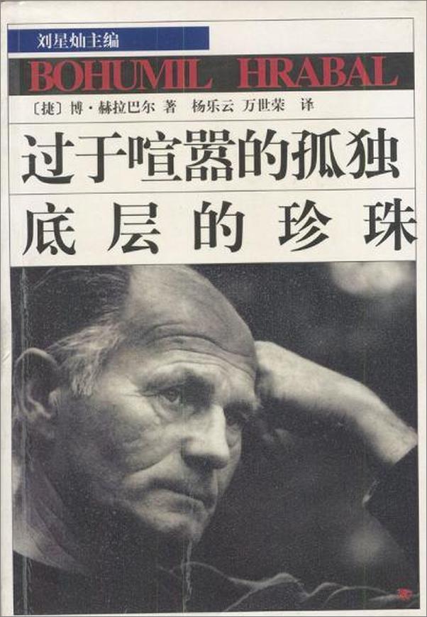 书籍《过于喧嚣的孤独，底层的珍珠》 - 插图1
