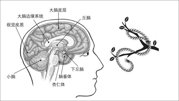 书籍《别让小情绪害了你》 - 插图2