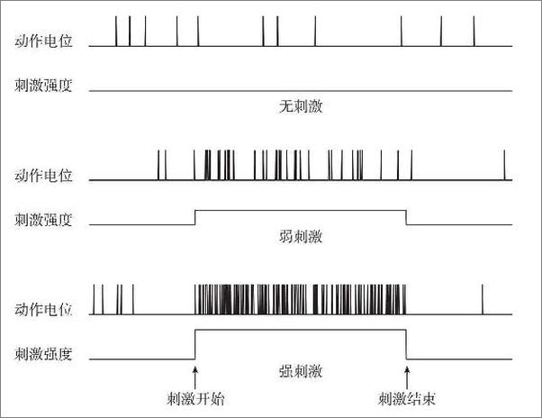 书籍《读脑术》 - 插图2