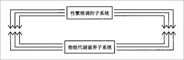 书籍《物演通论 - 子非鱼（王东岳）》 - 插图2