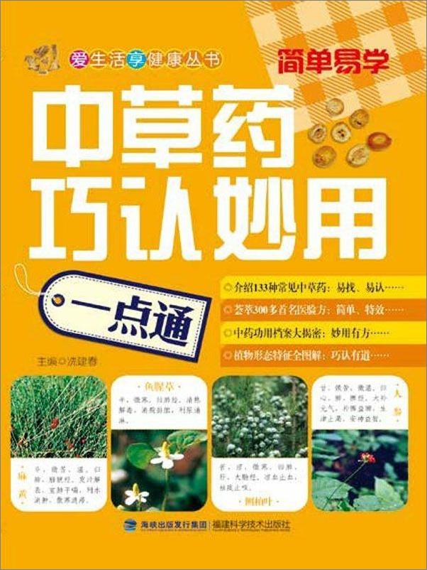书籍《中草药巧认妙用一点通》 - 插图1