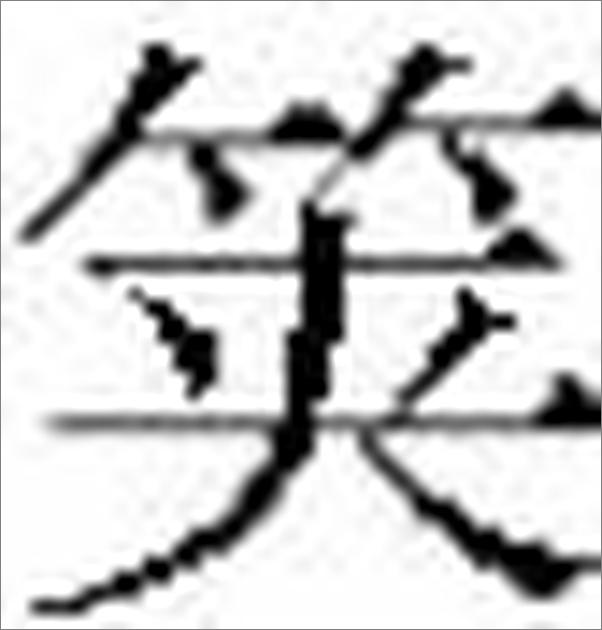 书籍《朱鹮的遗言（从根本上反思：“对生命的慈爱”，是如何从现代日本消失的） (译文纪实) - 小林照幸(Kobayashi Teruyuki)》 - 插图2
