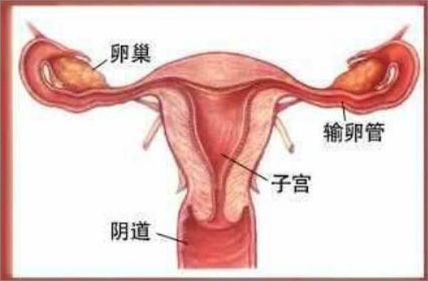 书籍《知乎周刊・好好对待月经》 - 插图2