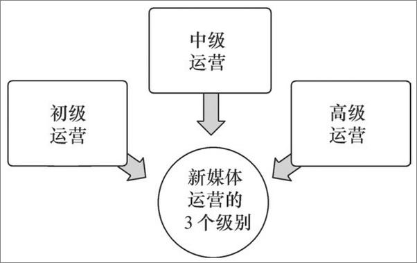 书籍《新媒体运营实战指南：社群运营•短视频运营•直播运营•微信运营》 - 插图2