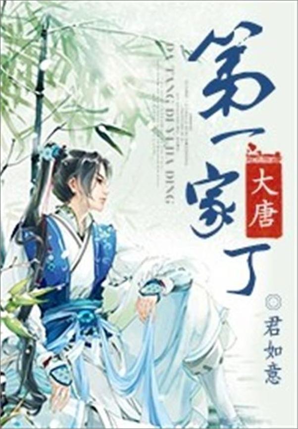书籍《大唐第一家丁-君如意》 - 插图1