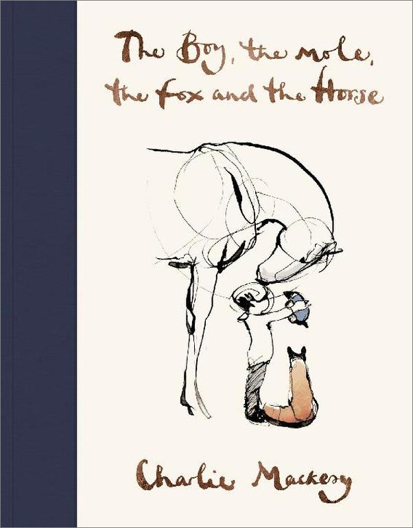 书籍《TheBoy,TheMole,TheFoxandTheHorse》 - 插图1