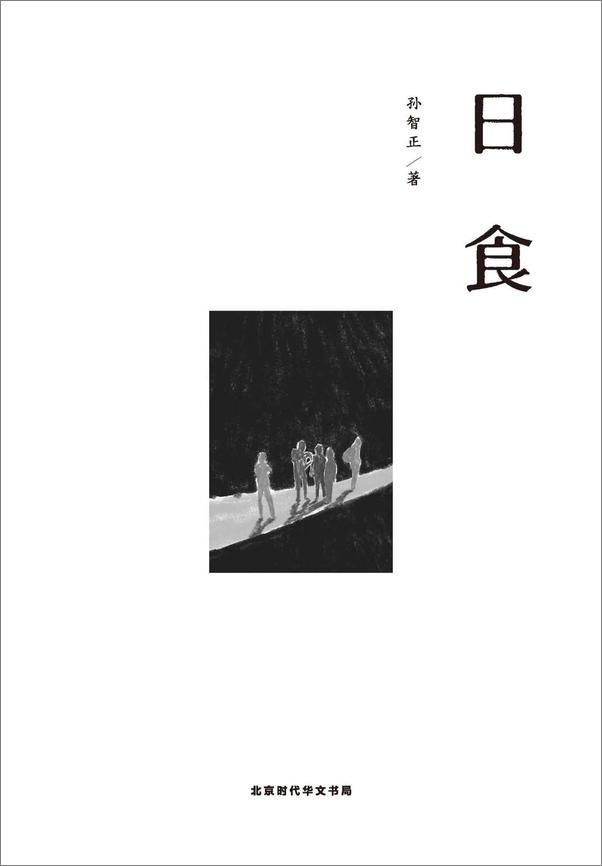 书籍《日食 - 孙智正 》 - 插图2