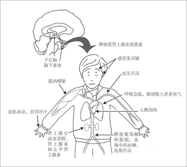 书籍《哈佛公开课经典系列（套装共6册）》 - 插图2