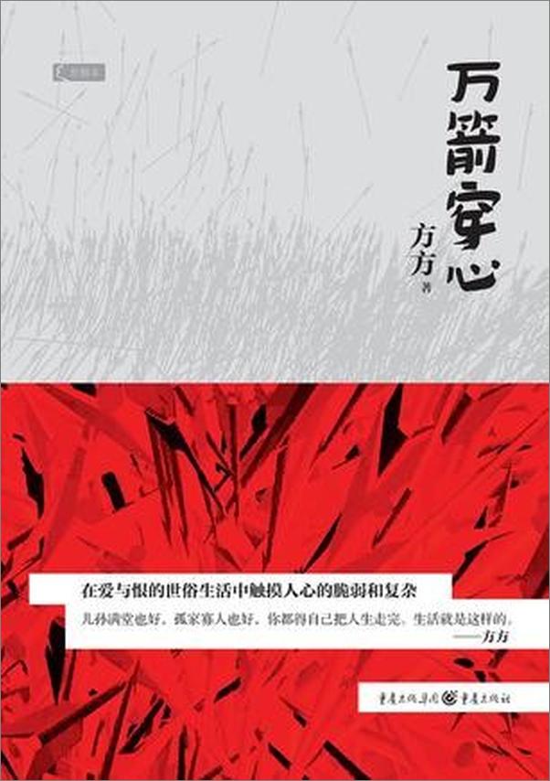 书籍《万箭穿心 - 方方》 - 插图1