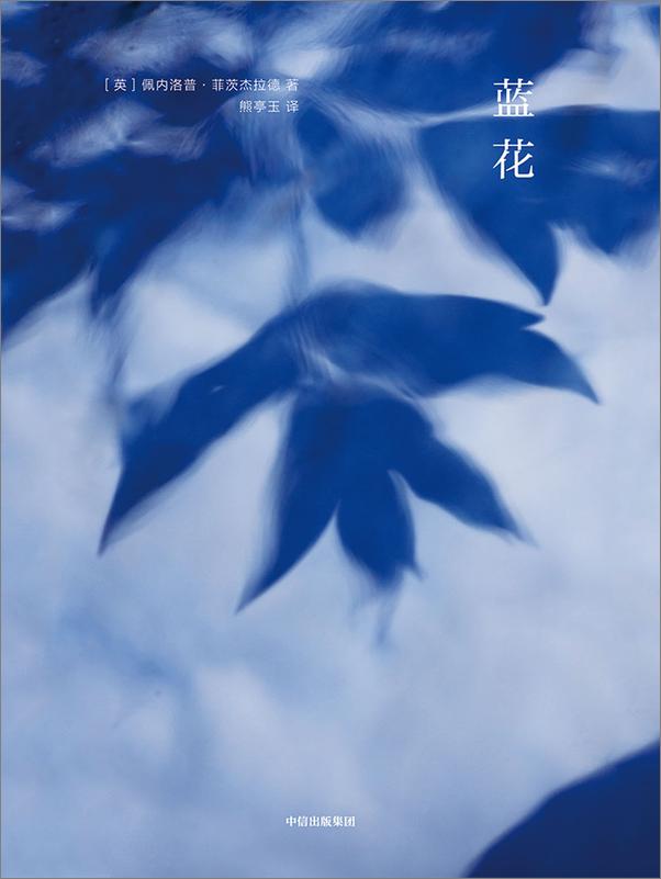 书籍《蓝花》 - 插图2