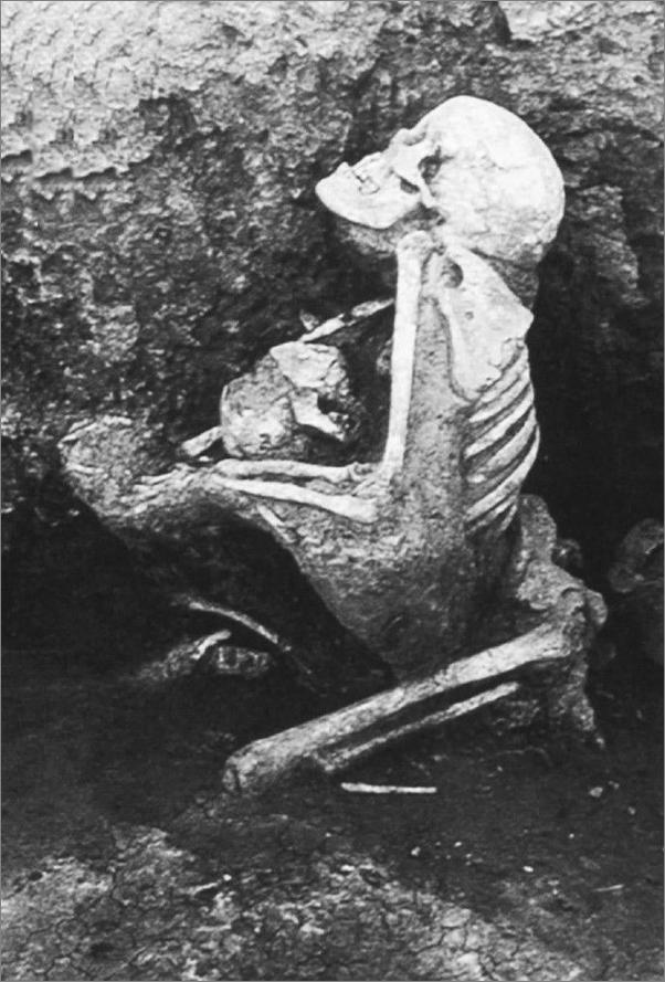 书籍《波峰与波谷_秦汉魏晋南北朝的政治文明》 - 插图2