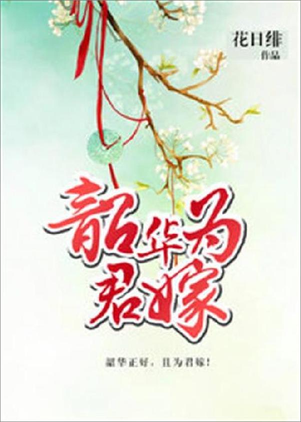 书籍《韶华为君嫁-花日绯》 - 插图1