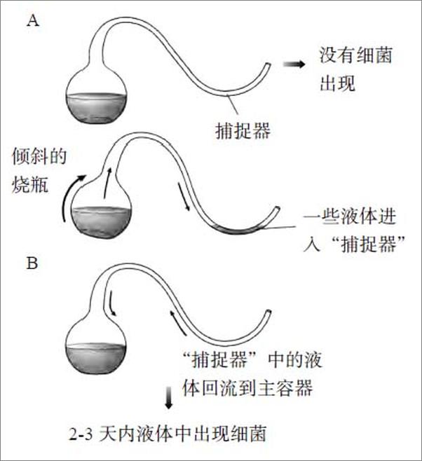 书籍《牛顿的苹果：关于科学的神话》 - 插图2