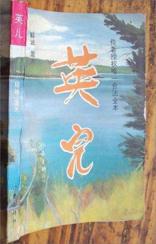 书籍《英儿》 - 插图1
