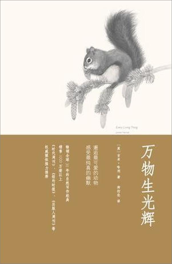 书籍《万物生光辉》 - 插图1