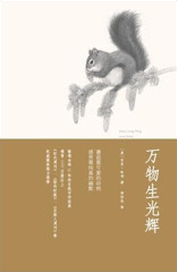 书籍《万物生光辉》 - 插图2