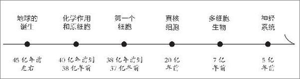 书籍《万物的古怪秩序-安东尼奥·达马西奥》 - 插图2