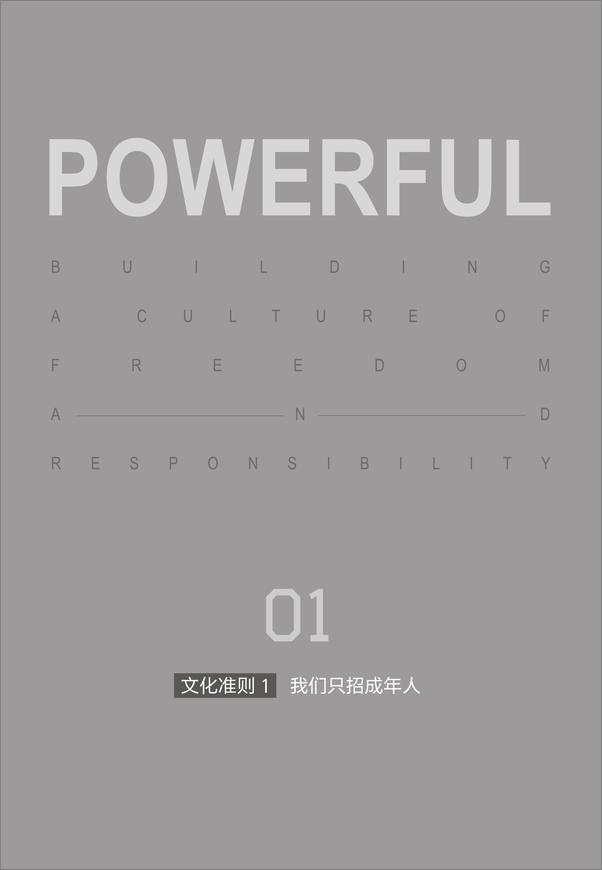 书籍《奈飞文化手册》 - 插图1
