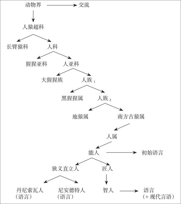 书籍《语言的诞生：人类最伟大发明的故事》 - 插图2