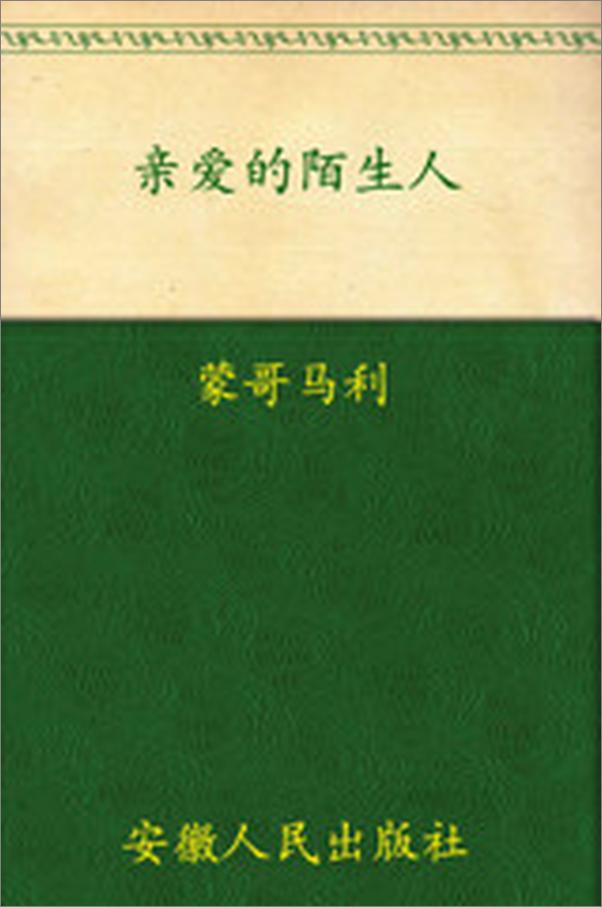 书籍《亲爱的陌生人》 - 插图1